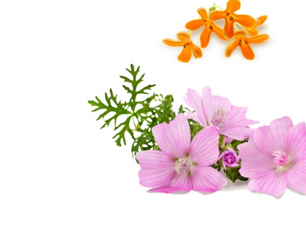 Mandarijn & Osmanthus