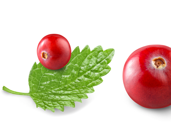 Patchouli & Cranberry
