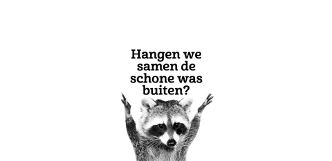 Wasbeer-wassen-NL-collectiepagina