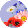 Wilde Bloemen