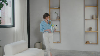 Toiletblok Citroen & Gember